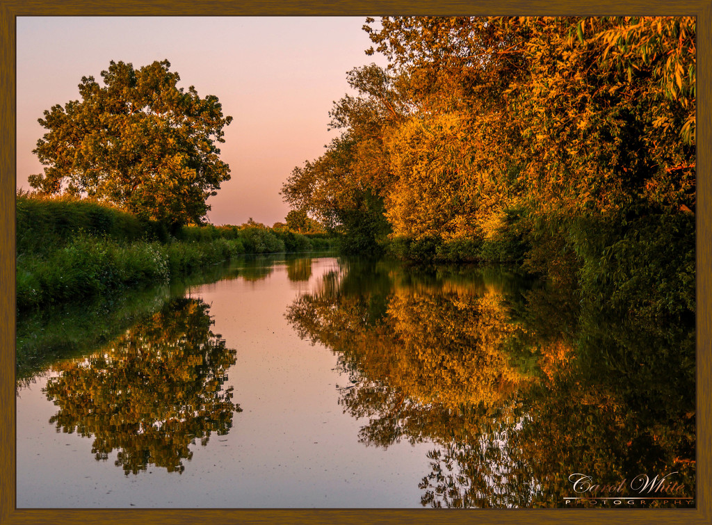 Golden Hour Reflections by carolmw