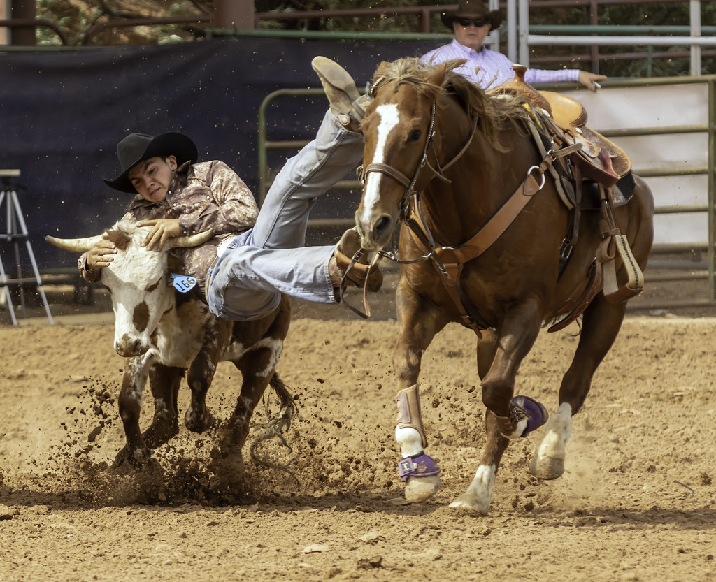 NM High School Rodeo Association - steer wrestling by jeffjones