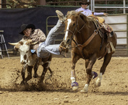 27th May 2018 - NM High School Rodeo Association - steer wrestling