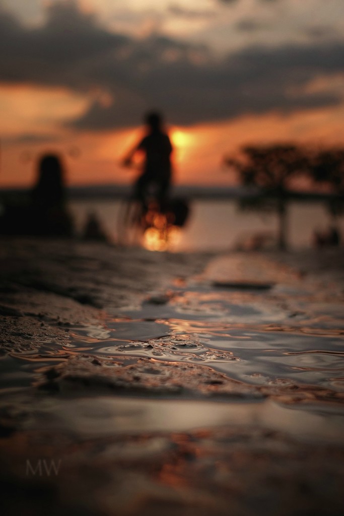 sunset puddle by mona65