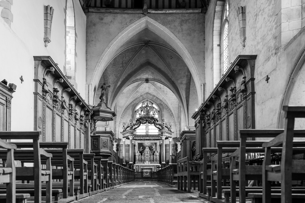 Paimpont 2018: Day 141 - Paimpont Abbey Nave 2 by vignouse