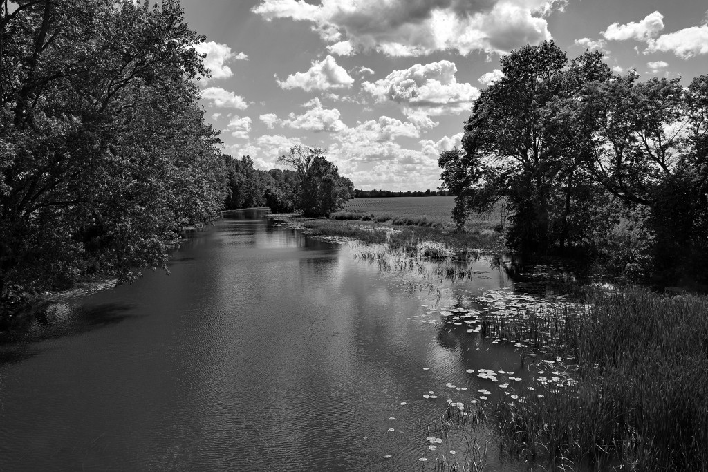 The River  by farmreporter