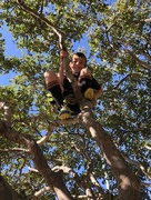 16th Jun 2018 - Boy in a tree