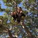 Boy in a tree by kjarn