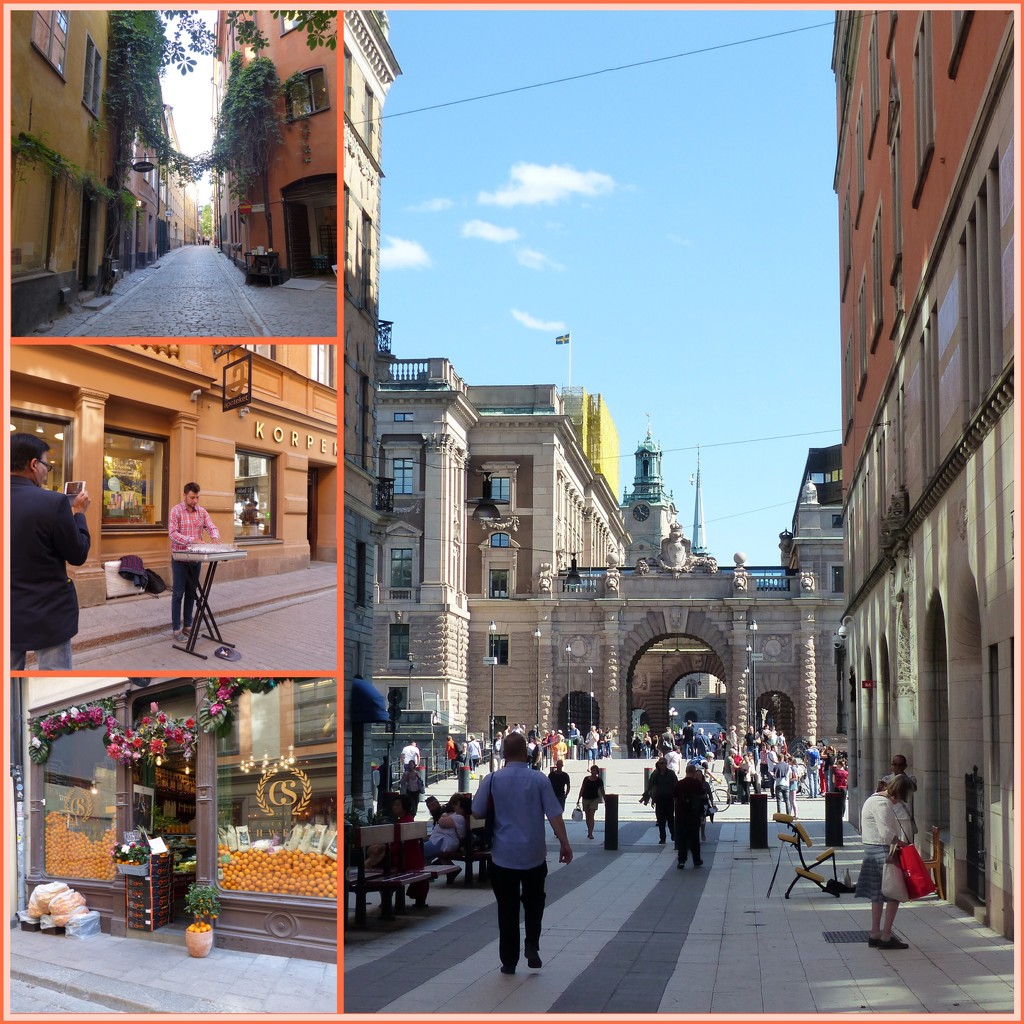 Street Views Stockholm  by foxes37