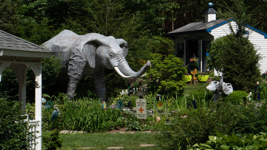 Mr. Ed's Elephant Garden by randystreat