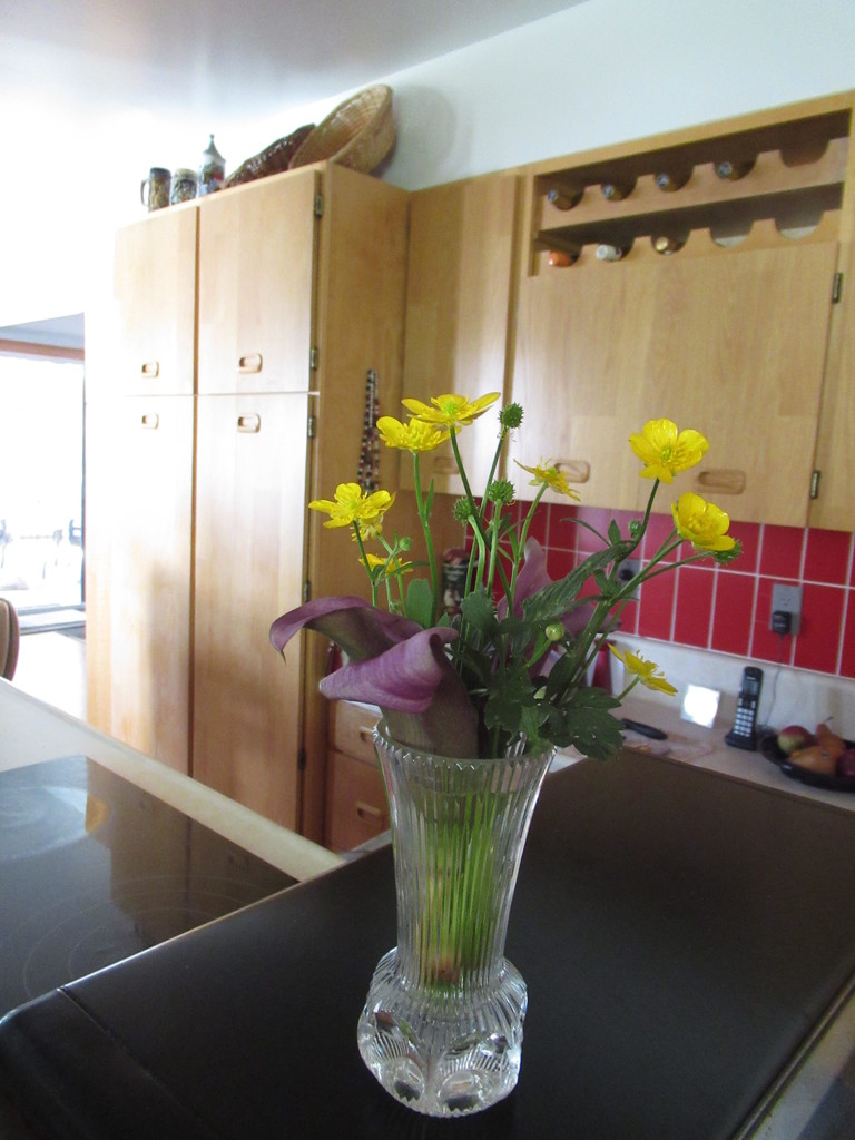 Flowers to brighten up the kitchen by bruni