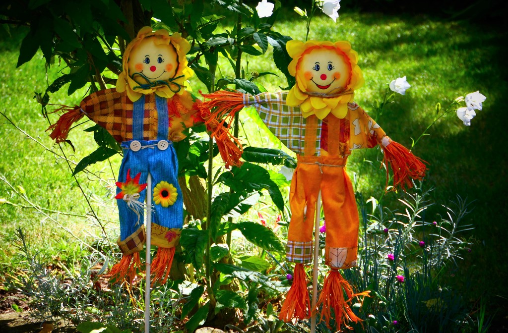 Little Scarecrows by carole_sandford
