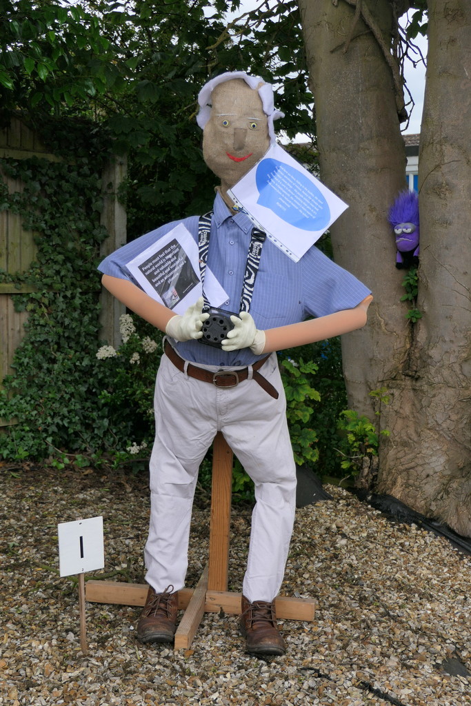 A 365 Scarecrow? by carole_sandford