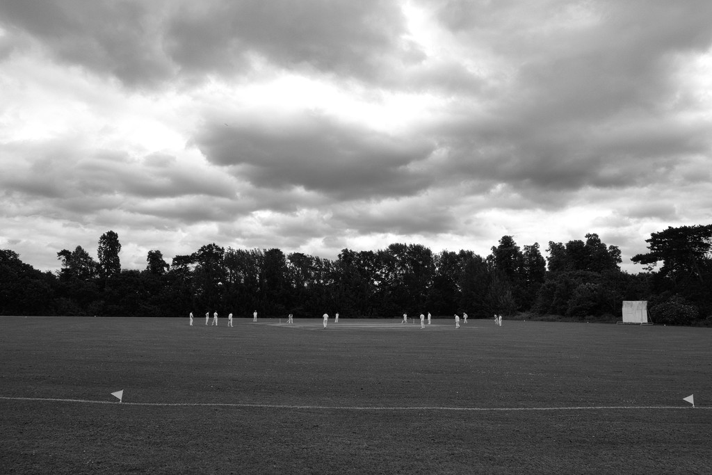 The distant sound of cricket by rumpelstiltskin
