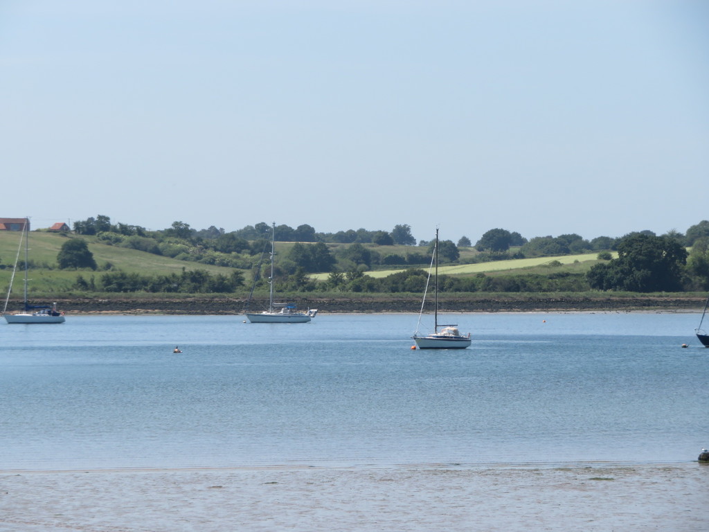 River Orwell by lellie