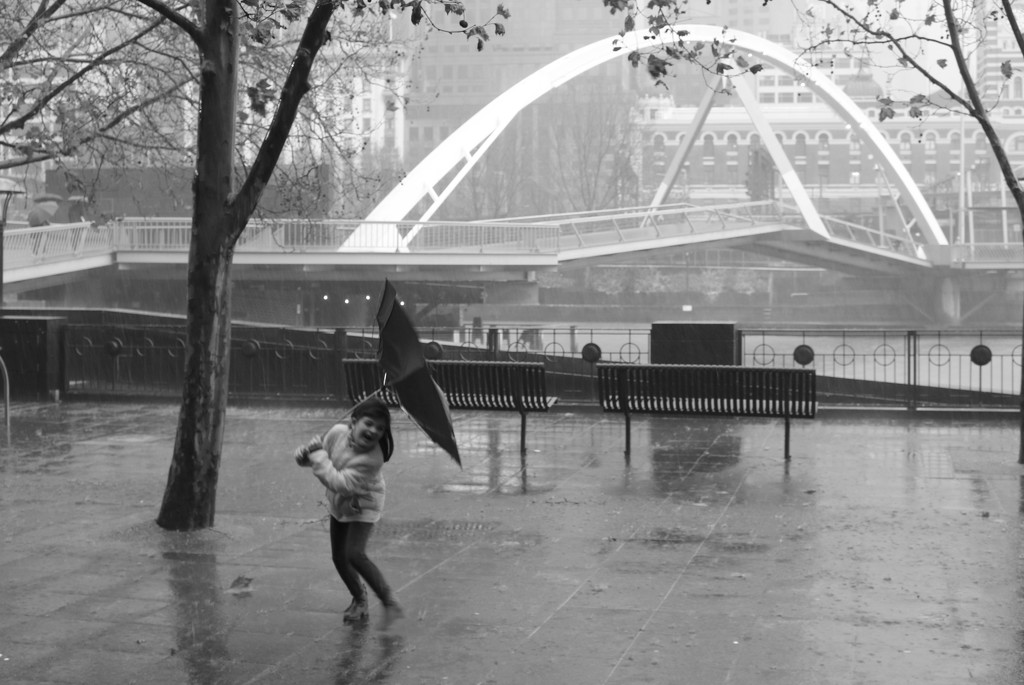 Singing in the rain! by gilbertwood