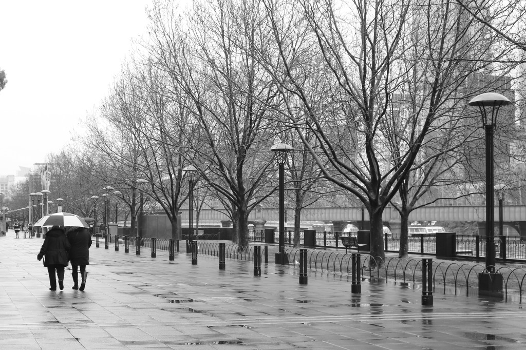 Southbank in the rain by gilbertwood