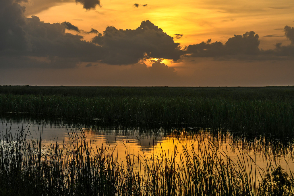 More Everglades sunset by danette