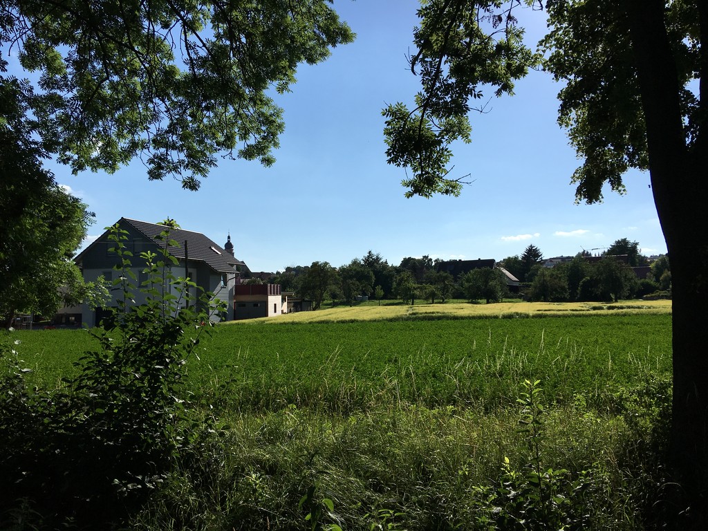 Landscape in Estenfeld by ninihi