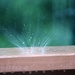 June 21:Splash! by daisymiller