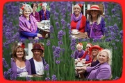 22nd Jun 2018 - 'purple with a red hat'
