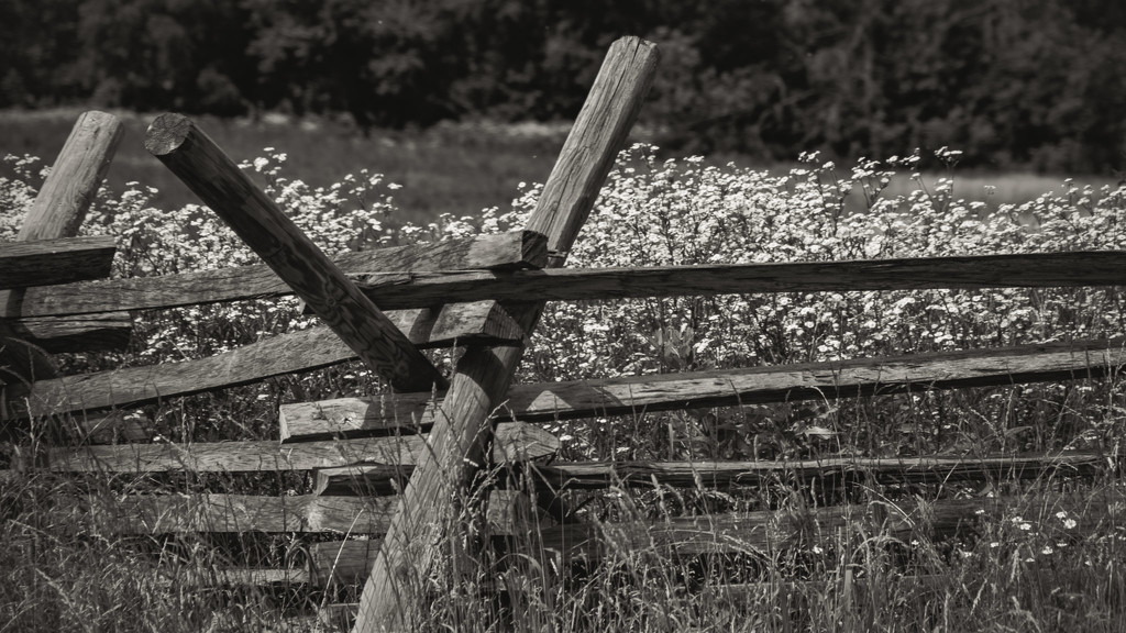 Fields at Gettysburg by randystreat