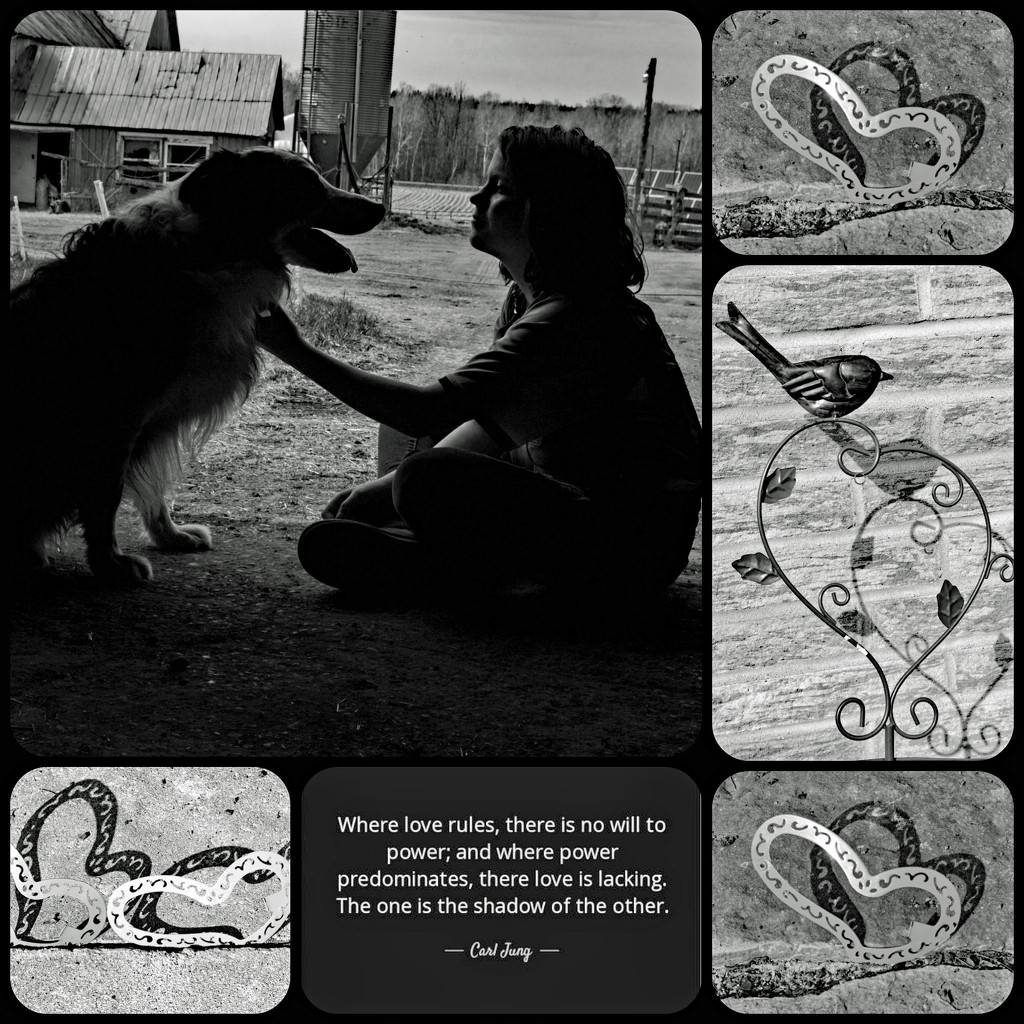 Love Shadow Collage  by farmreporter