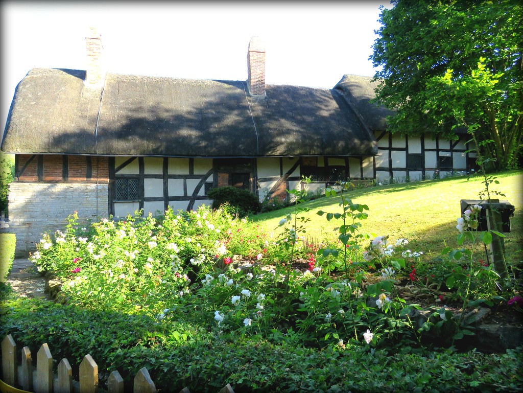 rear of Anne Hathaway's cottage, Stratford  by cruiser
