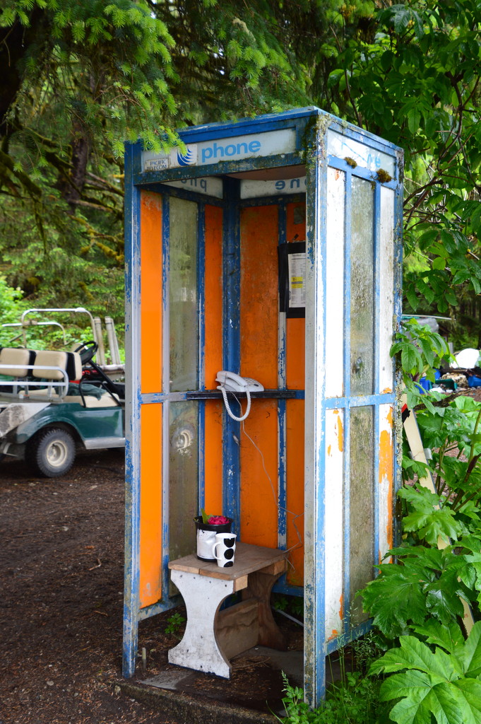 Tenakee's public phone booth by bigdad