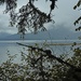 View from our Hike in Tenakee Springs, Alaska by janeandcharlie