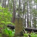 Tenakee Springs, Alaska, Cemetery by janeandcharlie