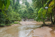 21st Jun 2018 - Sungai Paip