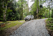 13th Jun 2018 - A New gravel track in the Rain Forest