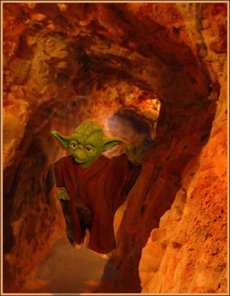 Yoda really lives here.... by robz
