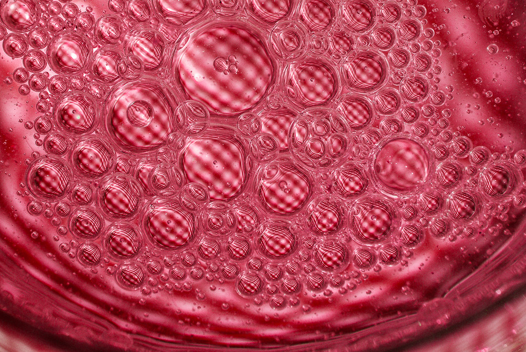 (Day 129) - Picnic Bubbles by cjphoto