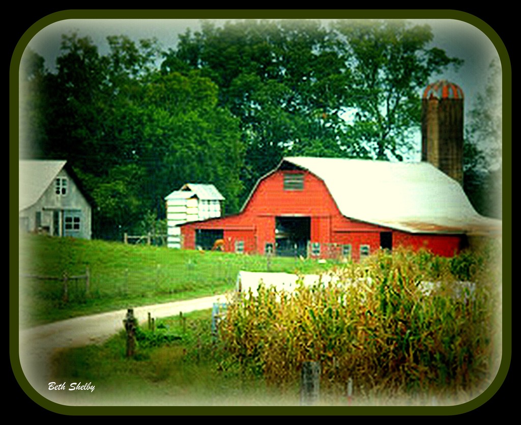 All Barns Should be Red by vernabeth