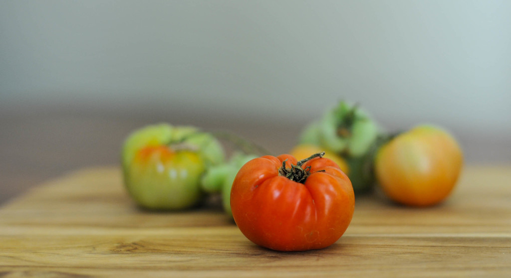 First Tomato! by loweygrace