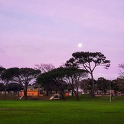 26th Jun 2018 - Moonrise over the park