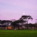 Moonrise over the park by eleanor