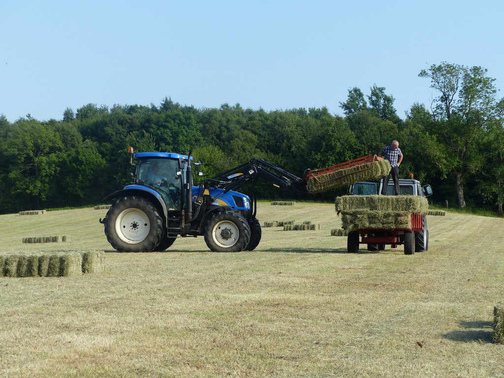 Hay time  by shirleybankfarm