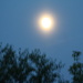 A corona around last night's moon by bruni