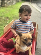27th Jun 2018 - A Boy and His Dog