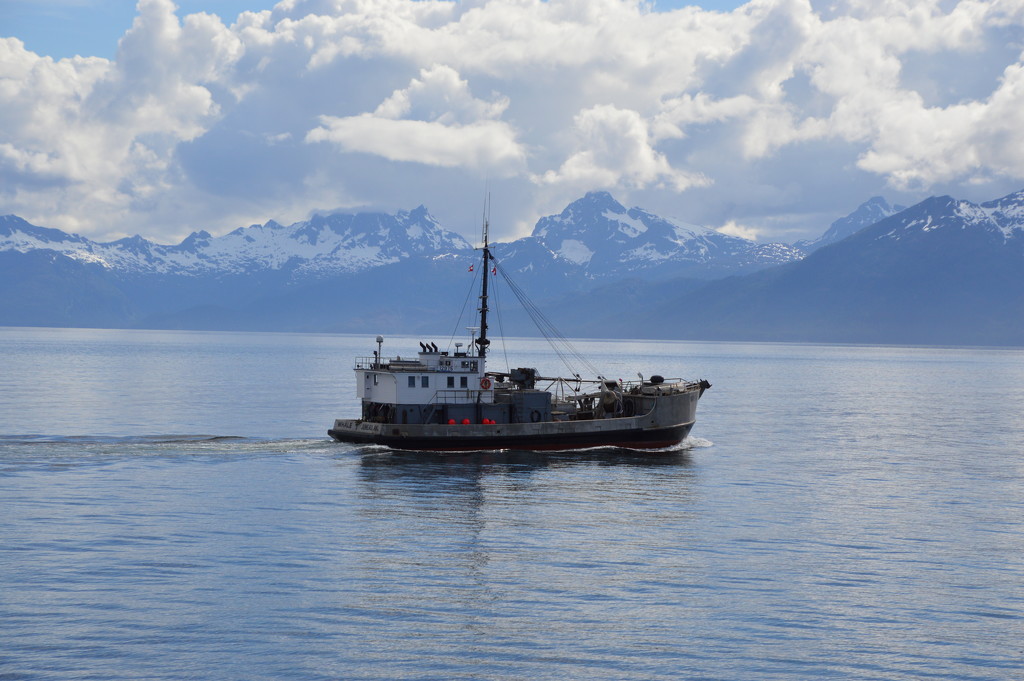 fishing boat in Alaska by bigdad