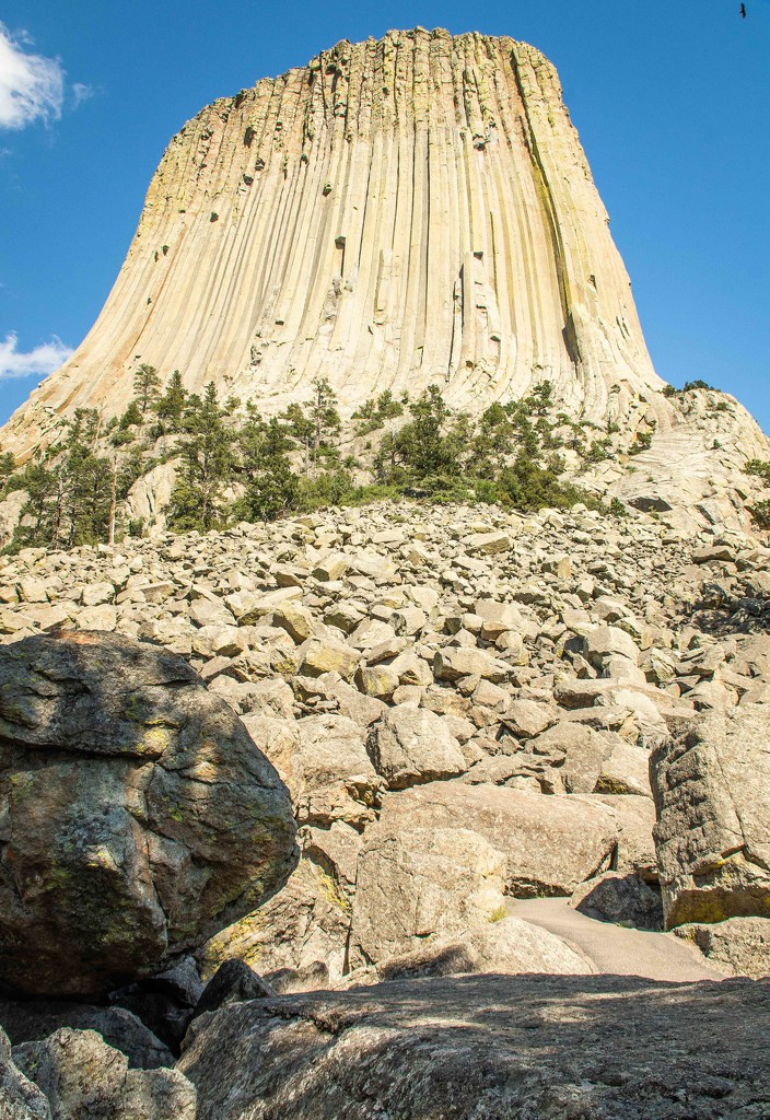 Devil's Tower by 365karly1