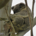 kindy nap time by koalagardens