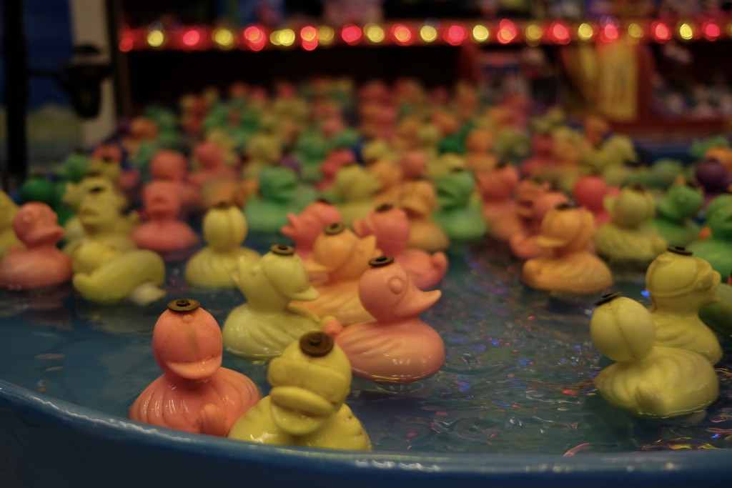 ducks bath by vincent24
