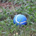We're growing tennis balls in our yard by homeschoolmom