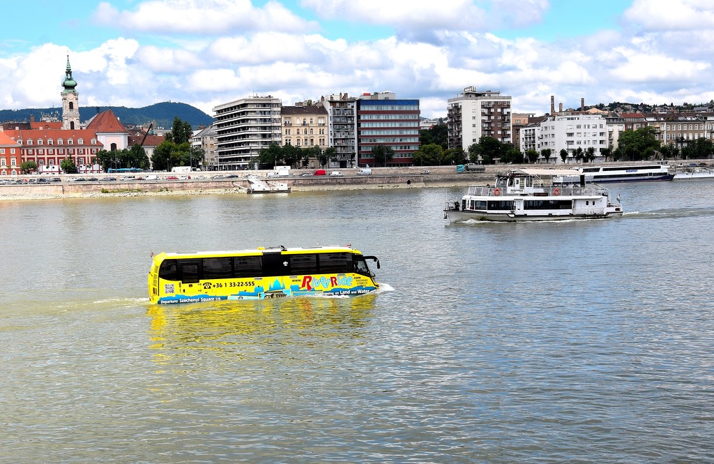 Water bus by kork