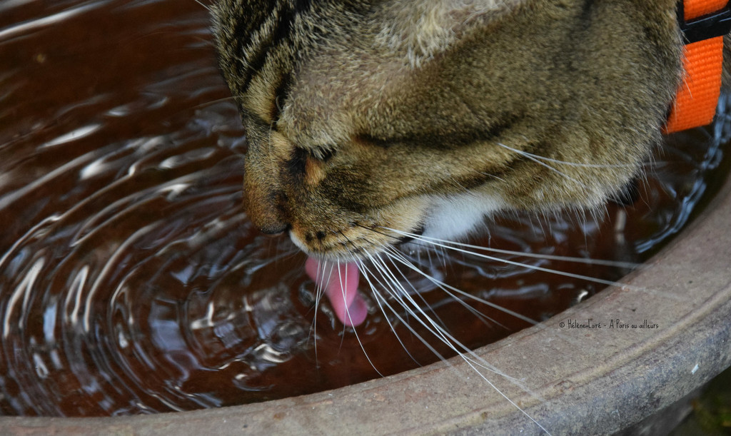thirsty by parisouailleurs