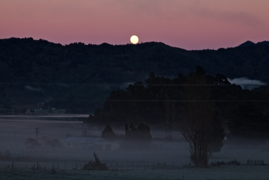 Lazy moon on a misty morning by kiwinanna