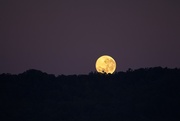 28th Jun 2018 - Full moon early morn