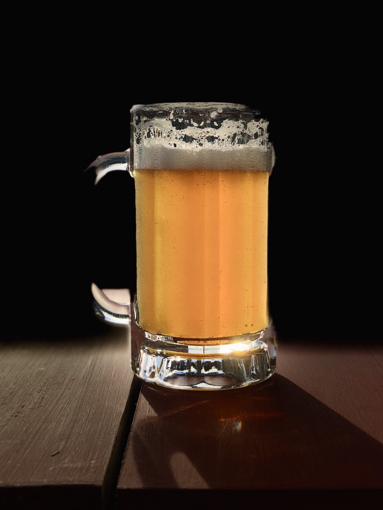 Portrait of a Beer by fauxtography365