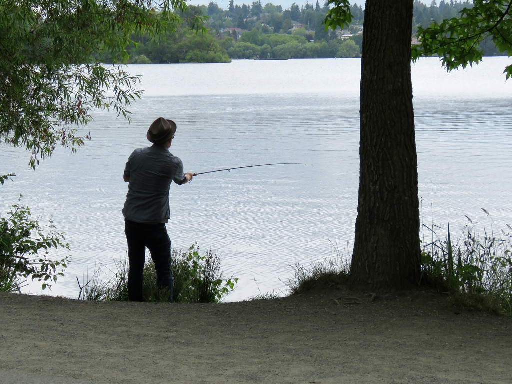 Green Lake Fisherman by seattlite