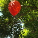 Balloon in a tree by suzanne234